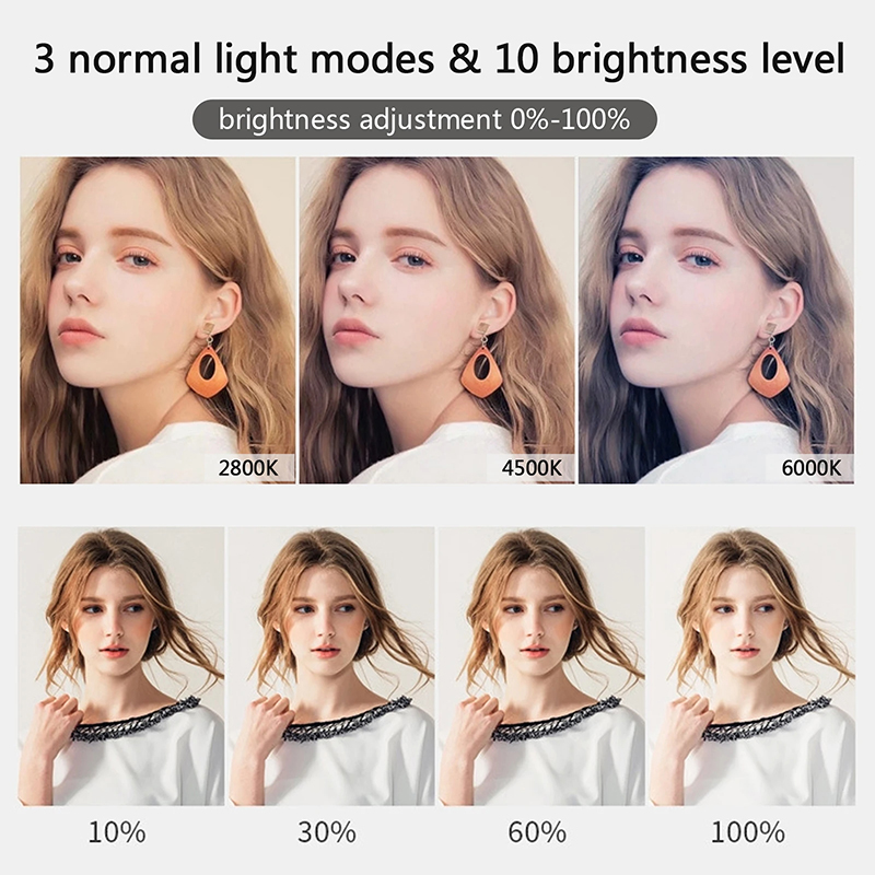 10 インチ LED Selfie リングライトサークル補助 - Photography Lighting Tent のレビューと価格