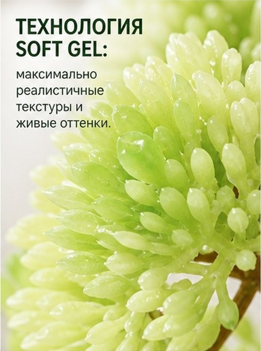 鉢植えではないミニサイズの造花多肉植物。リアルな質感のソフト - Photography Artificial Lighting のレビューと価格