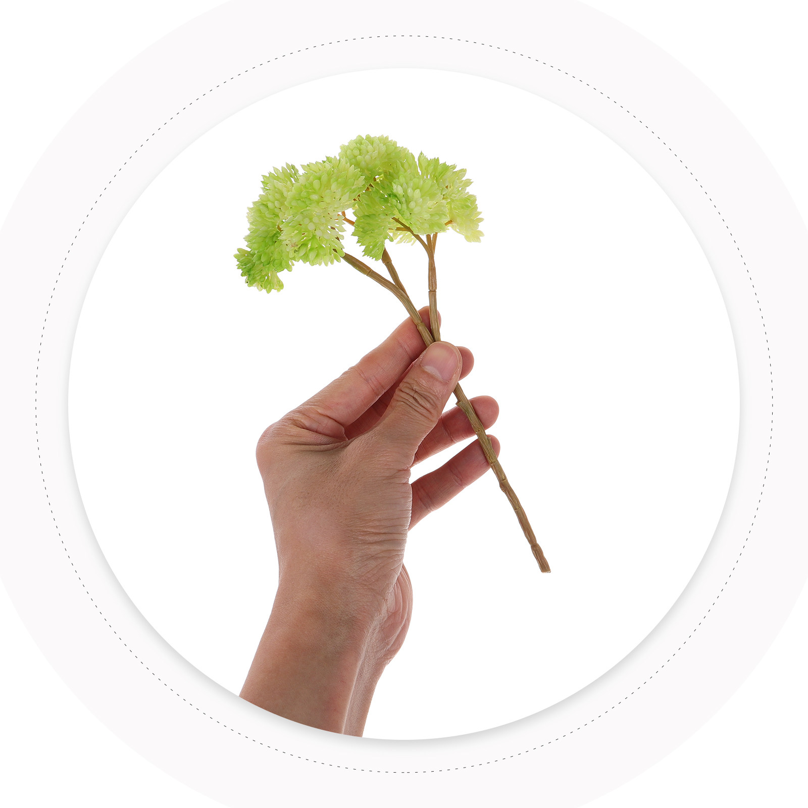 鉢植えではないミニサイズの造花多肉植物。リアルな質感のソフト - Photography Artificial Lighting のレビューと価格